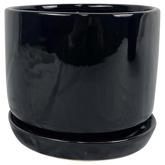 Border Concepts 8 in. D Ceramic Cover Pot Black, Pack of 4
