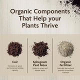 Miracle-Gro Organic Indoor Plant Potting Mix 16 qt