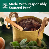 Miracle-Gro Organic Indoor Plant Potting Mix 16 qt