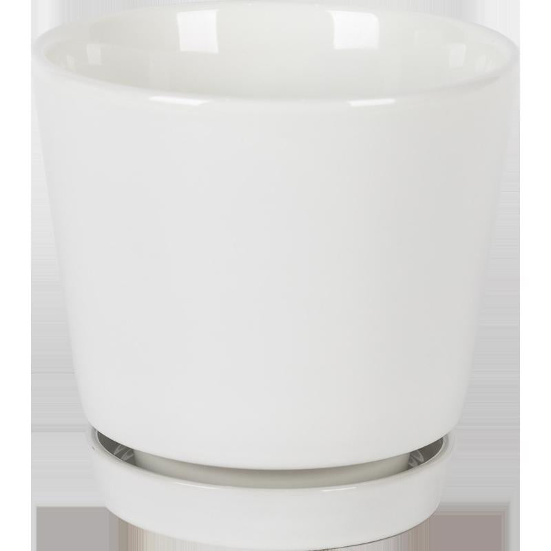 Border Concepts 6 in. D Ceramic Flair Saucer Planter White, Pack of 6