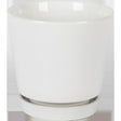 Border Concepts 10 in. D Ceramic Flair Saucer Planter White