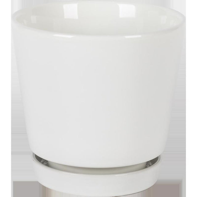 Border Concepts 10 in. D Ceramic Flair Saucer Planter White