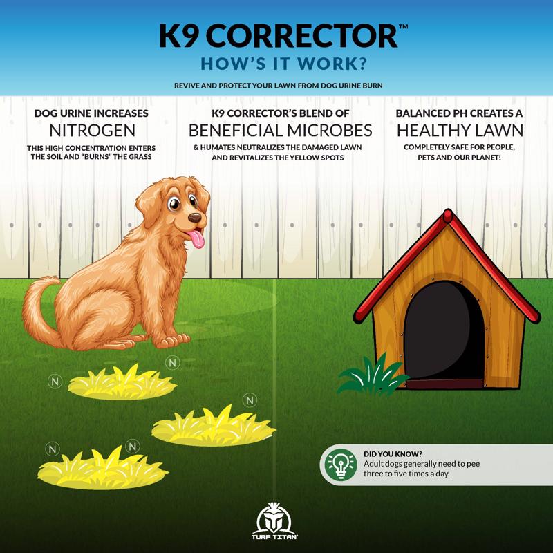 Turf Titan K9 Correcter Soil Amendment 6000 sq ft 32 fl. oz., Pack of 6