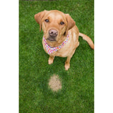 Turf Titan K9 Correcter Soil Amendment 6000 sq ft 32 fl. oz., Pack of 6
