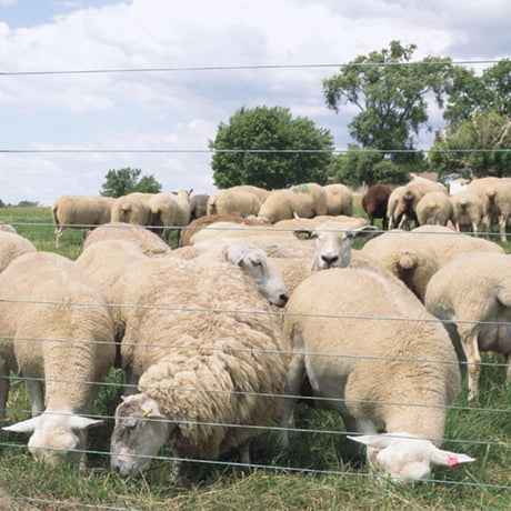 FarmGard 0.06 in. H X 1320 ft. L Galvanized Steel Electric Fence Wire Silver