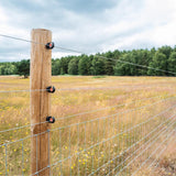 FarmGard 0.0453 in. H X 1320 ft. L Galvanized Steel Electric Fencing Silver