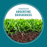 Pennington Bahia Grass Full Sun Grass Seed 3 lb