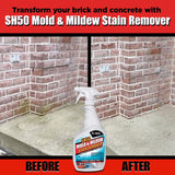 AL-NEW Mold and Mildew Stain Remover 24 oz, Pack of 12
