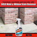 AL-NEW Mold and Mildew Stain Remover 24 oz, Pack of 12