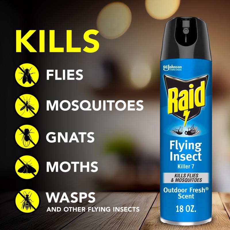 Raid Flying Insect Killer Aerosol 20 oz, Pack of 4