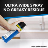 Raid Flying Insect Killer Aerosol 20 oz, Pack of 4