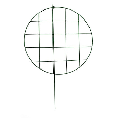 Glamos Wire 24 in. H Green Metal Plant Support