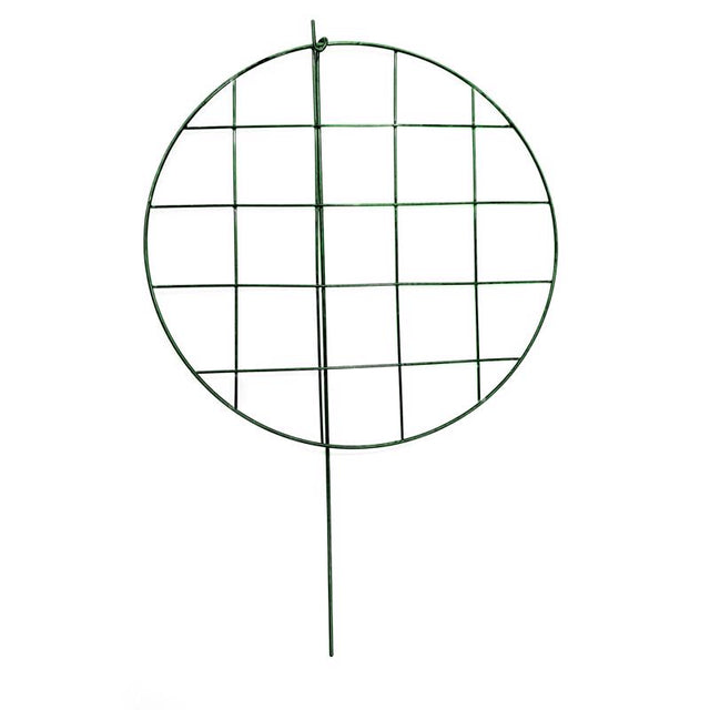 Glamos Wire 24 in. H Green Metal Plant Support