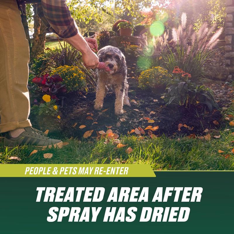 Ortho Nutsedge Nutsedge Killer RTU Liquid 24 fl. oz.