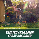 Ortho Nutsedge Nutsedge Killer RTU Liquid 24 fl. oz.