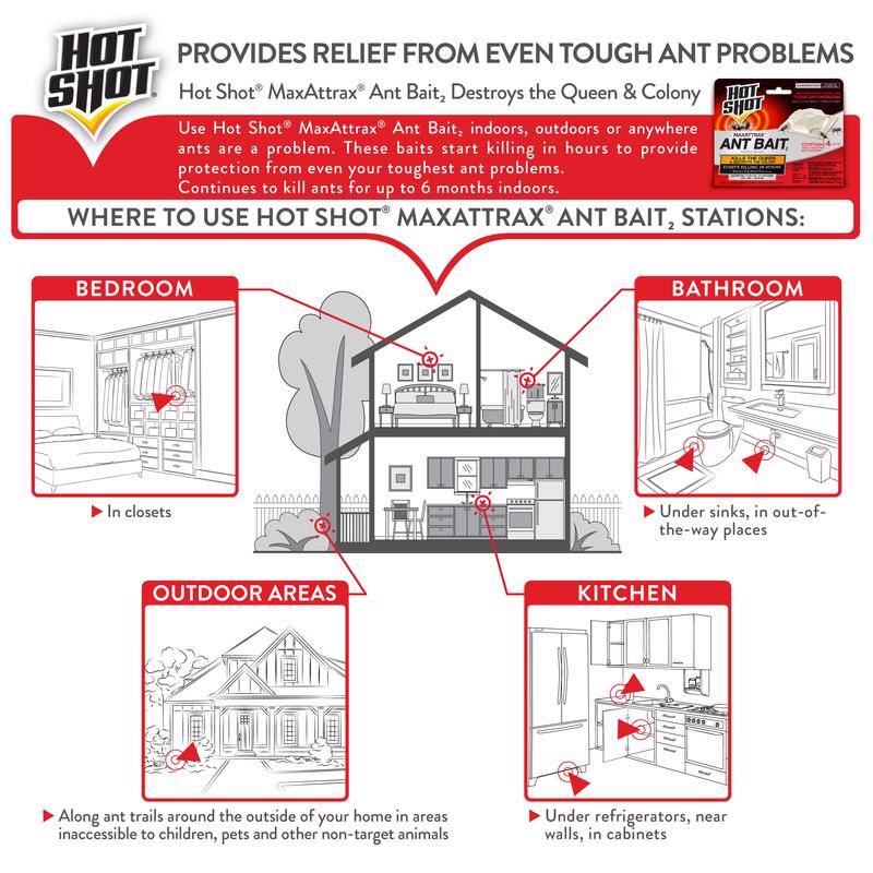 Hot Shot MaxAttrax Ant Bait 4 pk, Pack of 12