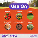 Bonide Sulfur Organic Concentrated Dust Fungicide 4 lb