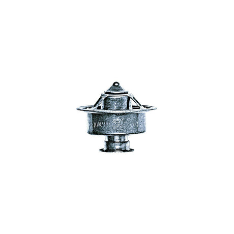 Quicksilver 76270T Thermostat