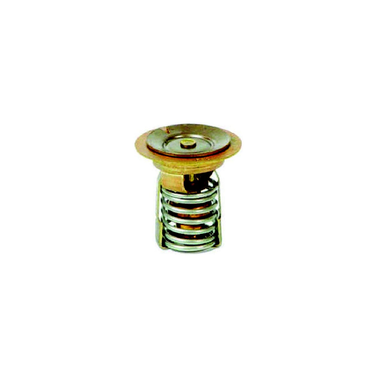 Quicksilver 850055001 Thermostat
