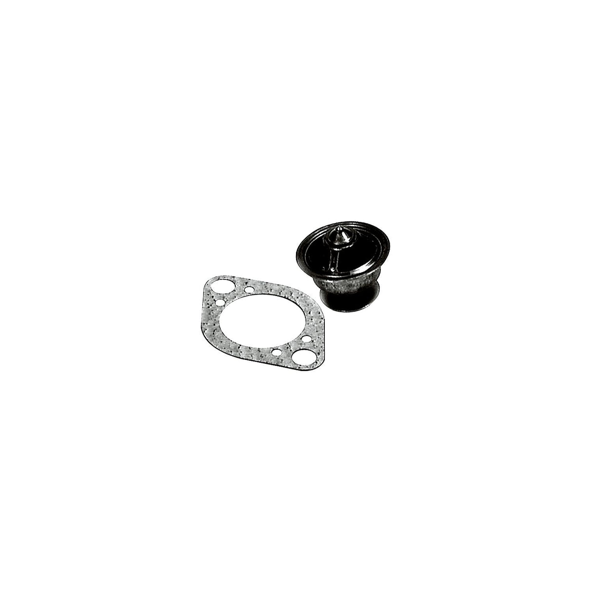 Thermostat Kit