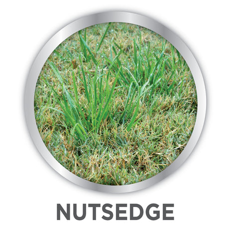 Lilly Miller Image Nutsedge Killer RTS Hose-End Concentrate 32 oz