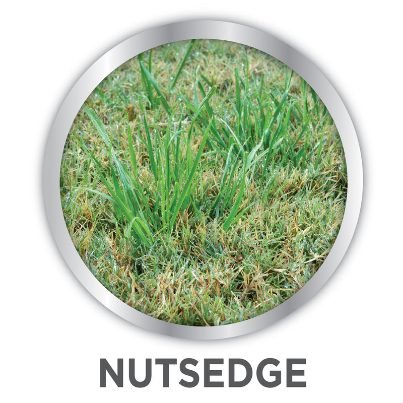 Lilly Miller Image Nutsedge Killer RTS Hose-End Concentrate 32 oz