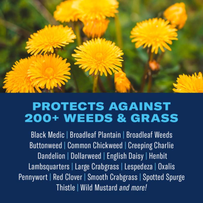 BioAdvanced 704125A Weed and Crabgrass Killer, Liquid, Black/Brown, 24 oz Bottle, Pack of 12