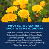 BioAdvanced 704125A Weed and Crabgrass Killer, Liquid, Black/Brown, 24 oz Bottle, Pack of 12