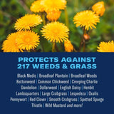 BioAdvanced All-In-One Weed and Crabgrass Killer Concentrate 32 oz, Pack of 8