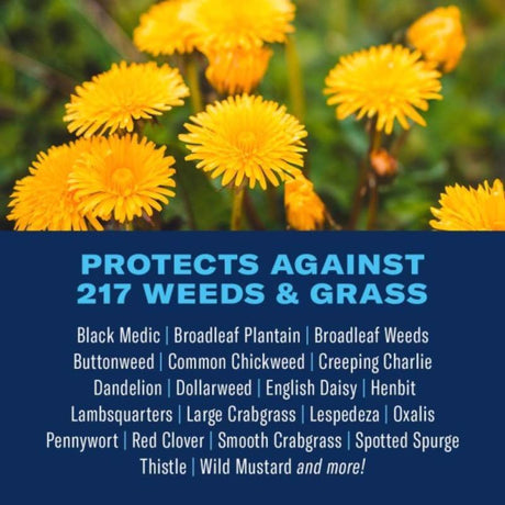BioAdvanced All-In-One Weed and Crabgrass Killer Concentrate 32 oz, Pack of 8