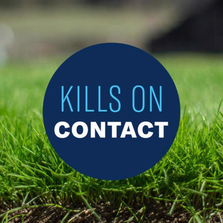 BioAdvanced All-In-One Weed and Crabgrass Killer Concentrate 32 oz, Pack of 8
