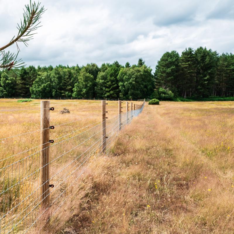 Yardlink Galvanized Steel Tension Wire 1 pk