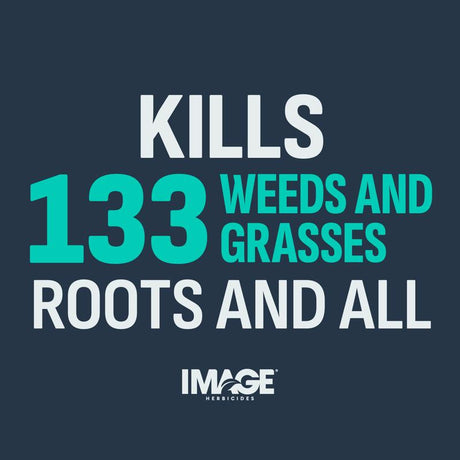 IMAGE 100502581 Noxall Vegetation Killer, Granular, Brown/White, 10 lb Bag