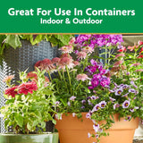 Miracle-Gro Pour & Feed Liquid Plant Food 32 oz