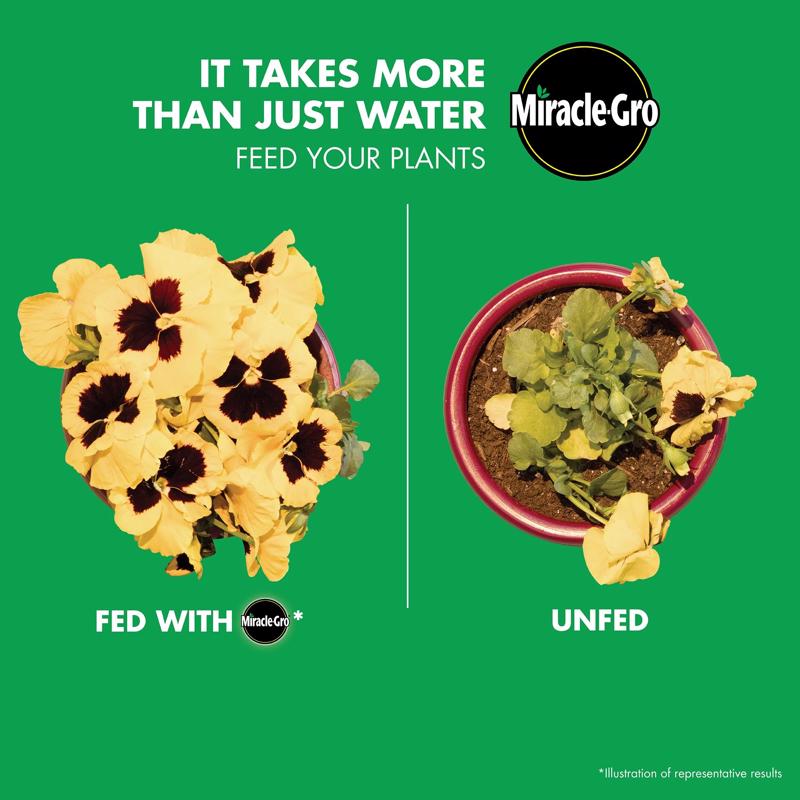 Miracle-Gro Liquid Plant Food 1 qt