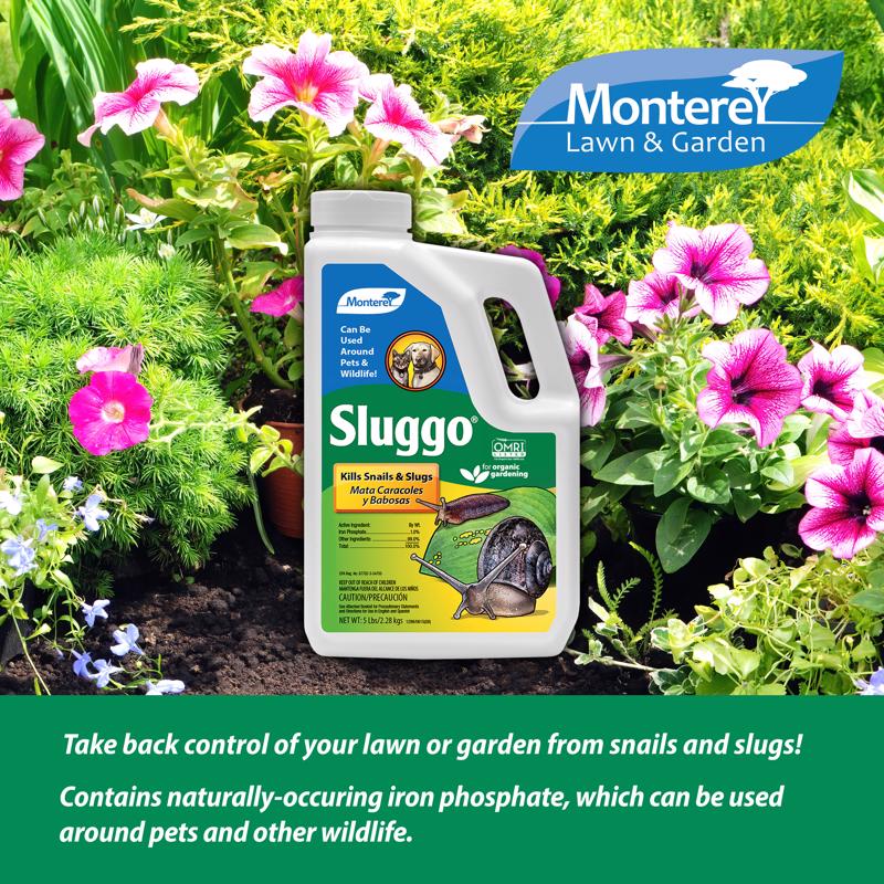 Monterey Sluggo Slug and Snail Killer 5 lb