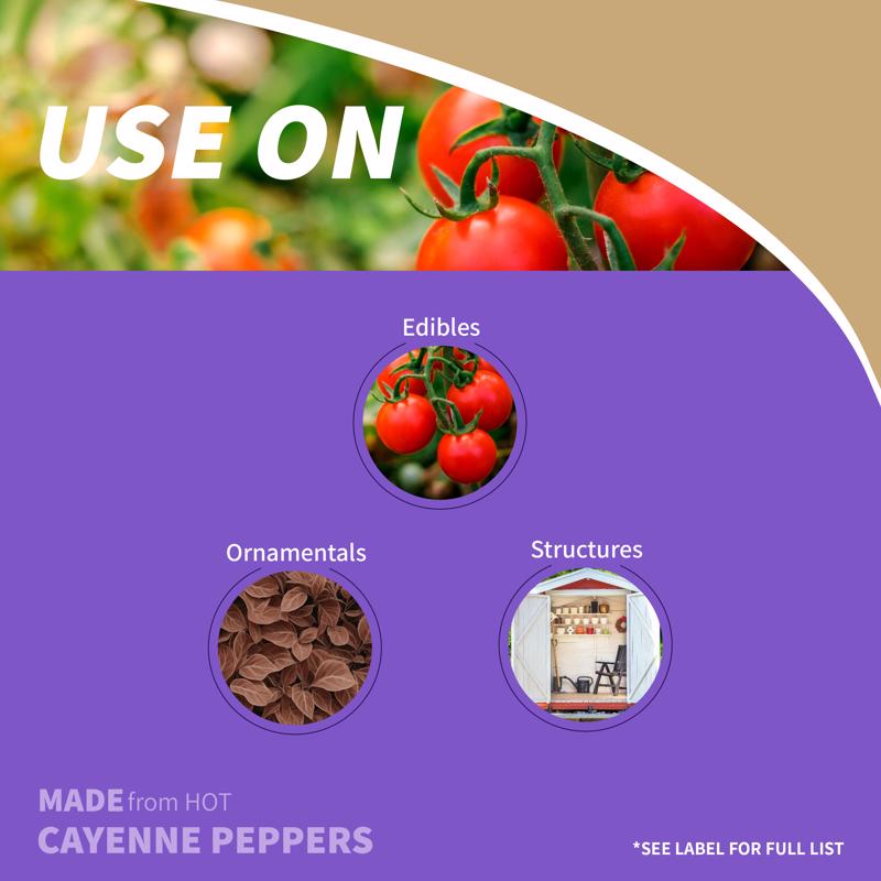 Bonide Hot Pepper Wax Animal Repellent Spray For Most Animal Types 32 oz