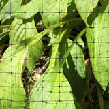 Garden Craft 84 in. H X 100 ft. L Plastic Netting .75 in in.