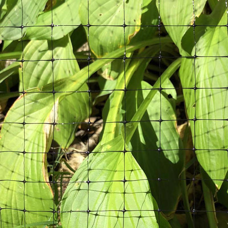 Garden Craft 84 in. H X 100 ft. L Plastic Netting .75 in in.