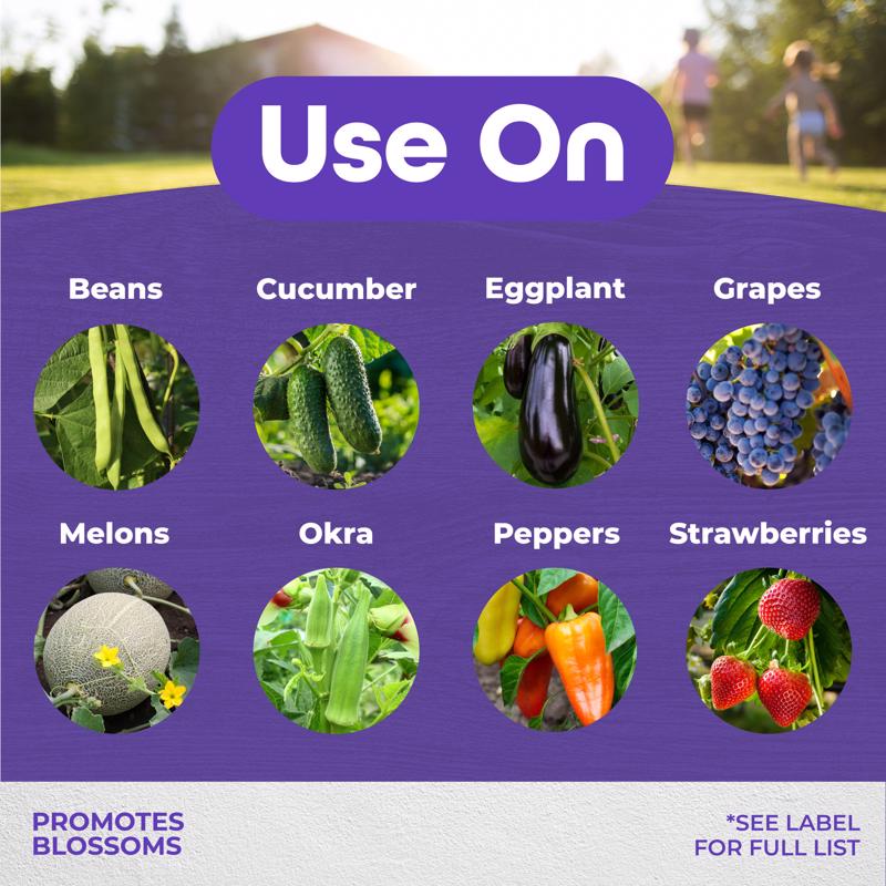 Bonide Liquid Tomato & Vegetables Blossom Set 8 oz