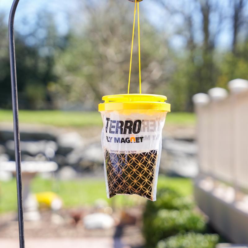 TERRO Fly Magnet Disposable Fly Trap 1 pk, Pack of 12