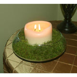 Mosser Lee Organic Green Sheet Moss 325 sq in