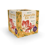 DeGroot Amaryllis Gift Box Bulb Kit 1 pk, Pack of 12