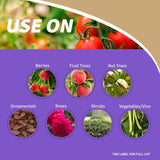 Bonide Tomato & Vegetable 3 in 1 Organic 3 in 1 Garden Insect Spray Liquid 32 oz