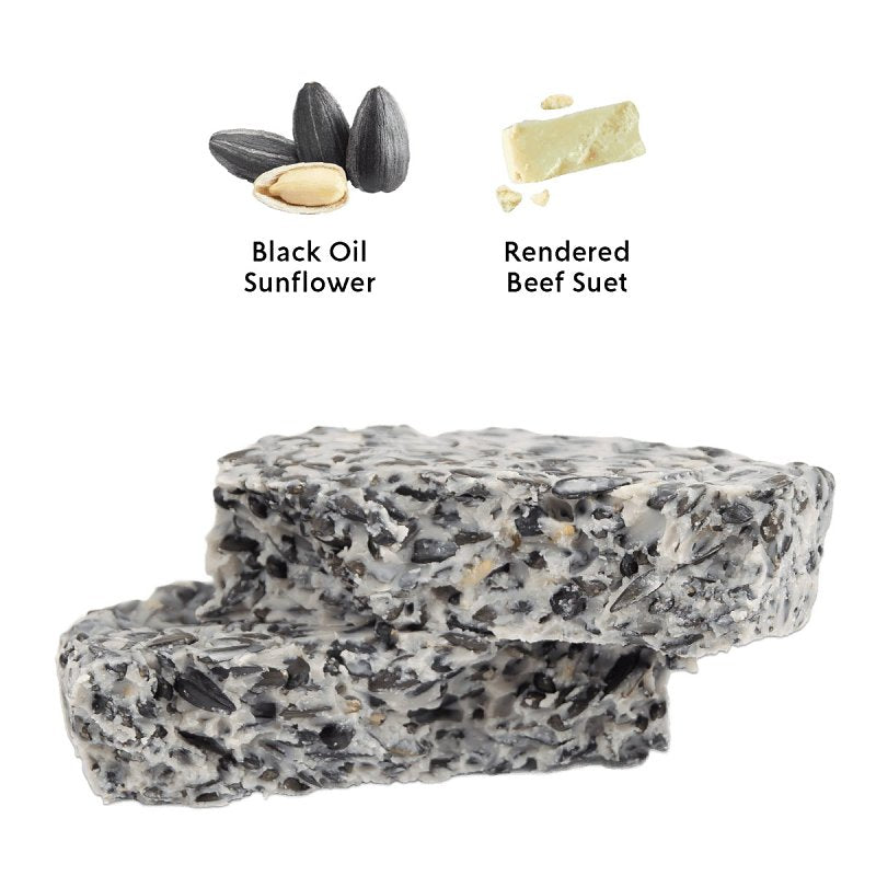 Feathered Friend 14376 Black Oil Sunflower Seed Wild Bird Food, 9 oz, Suet, Sunflower, Pack of 12