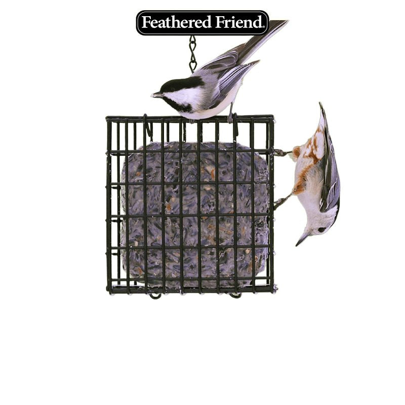 Feathered Friend 14376 Black Oil Sunflower Seed Wild Bird Food, 9 oz, Suet, Sunflower, Pack of 12
