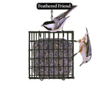 Feathered Friend 14376 Black Oil Sunflower Seed Wild Bird Food, 9 oz, Suet, Sunflower, Pack of 12