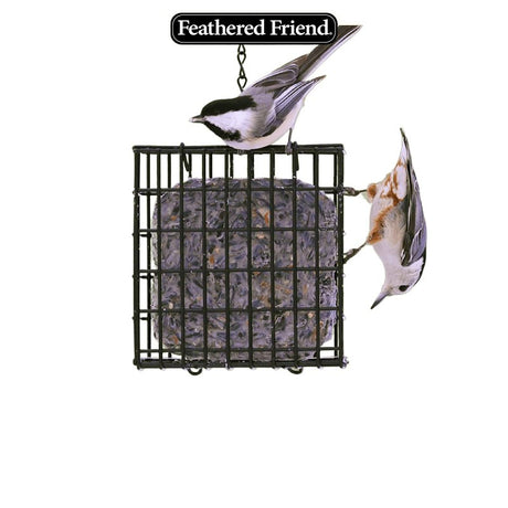 Feathered Friend 14376 Black Oil Sunflower Seed Wild Bird Food, 9 oz, Suet, Sunflower, Pack of 12