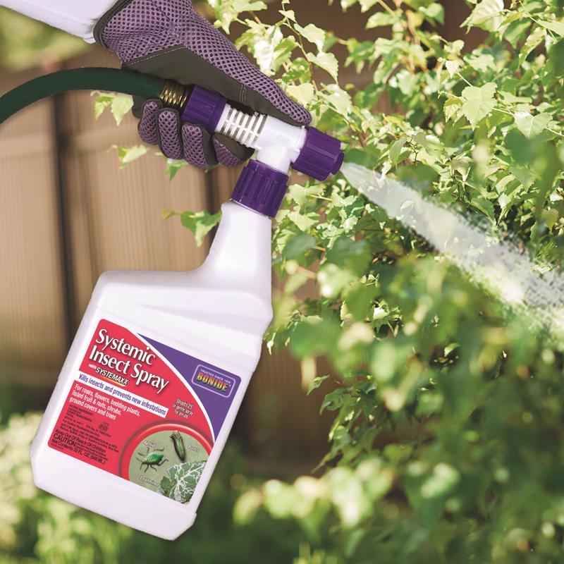 Bonide System Insect Bonide Systemic Spray Insect Killer Liquid 32 oz – Mrosupreme.com