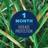 BioAdvanced Ready-to-Spray Liquid Fungus Control for Lawns 32 oz